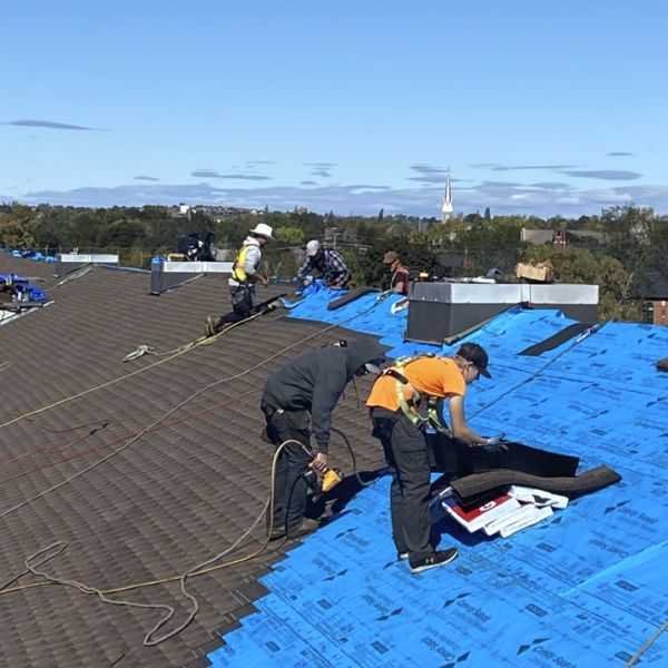 Commercial Roof Replacement Using Asphalt Shingles As The Commercial Roofing Material